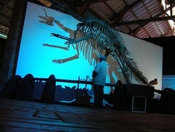 Wwf: al via in tutta Italia “Biodiversamente”,festival ecoscienza