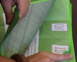 Referendari e Codacons ricorrono per election day,deciderà il Tar
