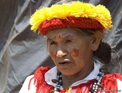 Brasile/ Indios Guarani rioccupano le loro terre, tensione