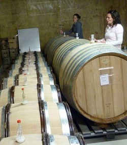 Vino/Italia sorpassa Francia, ora è primo produttore al mondo