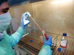 Test paternit&agrave; in farmacia: polemiche in Gran Bretagna