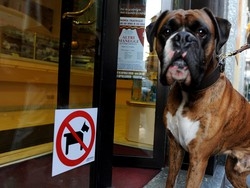 Trecento firme per aiutare Fido Stop al divieto&nbsp;d’accesso ai&nbsp;bar