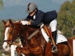 Cavallo scappa al galoppo e finisce dentro un canale