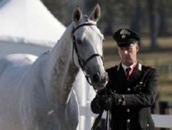 La fuga di Tatchou e la caduta Paura per il cavallo olimpionico