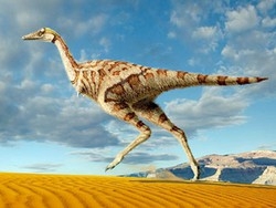 Adesso la scienza cambia idea: i dinosauri non erano solo diurni