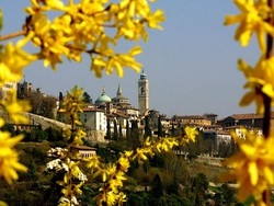 Libri, arte, musei e mercatini Gli appuntamenti del weekend