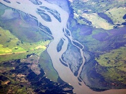Il defino dell’Amazzonia a rischio di estinzione