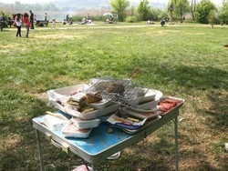 Rissa sfiorata al parco per grigliare le salamelle