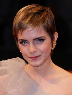 Emma Watson scrive ai fans: &laquo;Non sono vittima di bullismo&raquo;