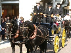 &laquo;Treviglio cavalli&raquo; Tutti in carrozza