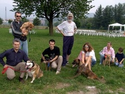 Ecco come il cane capisce il padrone