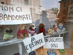 Varese, i cani peluche protestano in vetrina