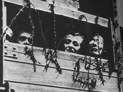 Vanno all’asta i diari inediti del medico nazista Mengele