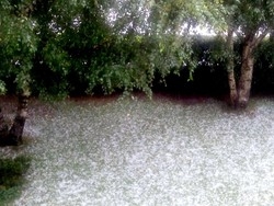 Coldiretti: dalla grandine milioni di danni nei campi