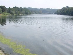 In acqua per salvare la figlia Poi muore per arresto cardiaco