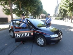 Il ladro con il pollice verde mette a segno un altro colpo
