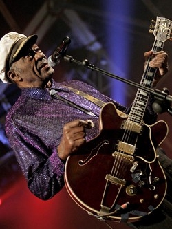 Chitarre Gibson sotto accusa Costruite con legno illegale?