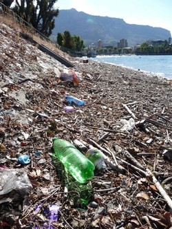 Al via “Puliamo il mondo” Cominciando dalla plastica