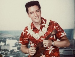 Agguerriti gli eredi di Elvis Chiedono 9 milioni di diritti