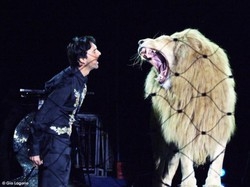 Appuntamenti di sabato 9 Musei di notte, Luna Park e circo