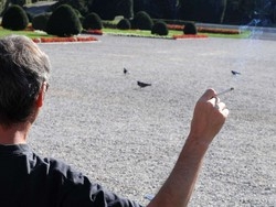 Varese dichiara guerra alle cicche &laquo;Stop al fumo nei parchi pubblici&raquo;