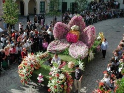 Feste dell’uva e giri di giostra Gli appuntamenti del weekend