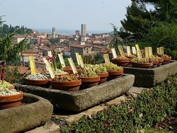 Le visite guidate all’Orto Botanico