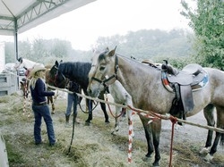 Terzo Polo/ Casini:Oltre cento parlamentari, avremo una voce sola