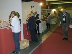 Varese, l’hotel dei profughi “Li ho accolti, ora mi cacciano”