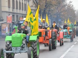 Gli appuntamenti di domenica 13 Giornata del Ringraziamento