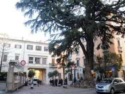 Il &laquo;piantone&raquo; di Varese &egrave; malato Task force per salvargli la vita