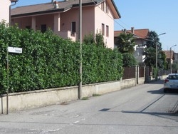 Manovra/ Alfano a toghe: tutti devono fare sacrifici