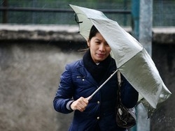 Suina in <ritirata> Ma solo tra i piccoli