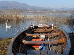 Un tappeto di argillaper salvare il lago