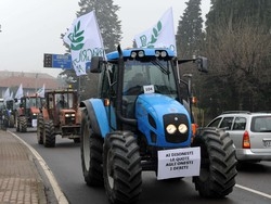 Settanta trattori in marcia"Basta aiutare i furbetti"