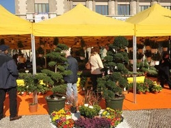 Fiori, colori e sapori sul Sentierone
