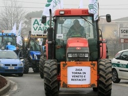 Latte in allarme rossoRischiano dieci aziende