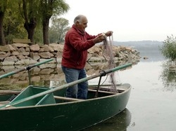 Censimento dei pesciper ripopolare i laghi
