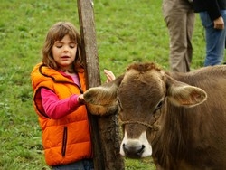 Val Taleggio, una &laquo;Vaccanza&raquo;all’alpeggio fra baite e casari