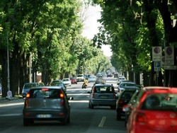 Busto cura il trafficoa suon di rotatorie