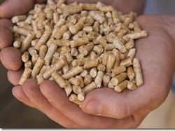 Pellet radioattivoSalute non a rischio