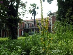 Scuola del cinemaSacconago disillusa