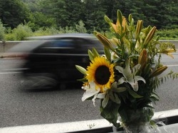 Strage sull’AutolaghiLa dinamica esatta