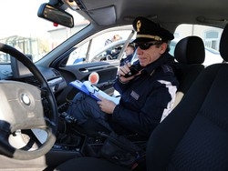 Spari con la scacciacaniDenunciato farmacista