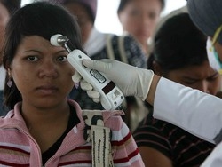 Il virus fa male alle impreseDanni per cinque milioni