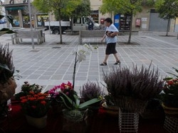 Borsano, i negoziantiko a causa della piazza