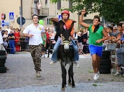 "Ma quello &egrave; un mulo"Polemica a Bobbiate