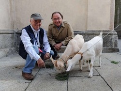 Varese, contro il degradoarrivano due caprette