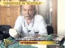 Varese, scoop di Strisciasul commercio di tarantole