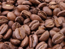 Dal caff&egrave; al MarsalaPrimavera Slowfood